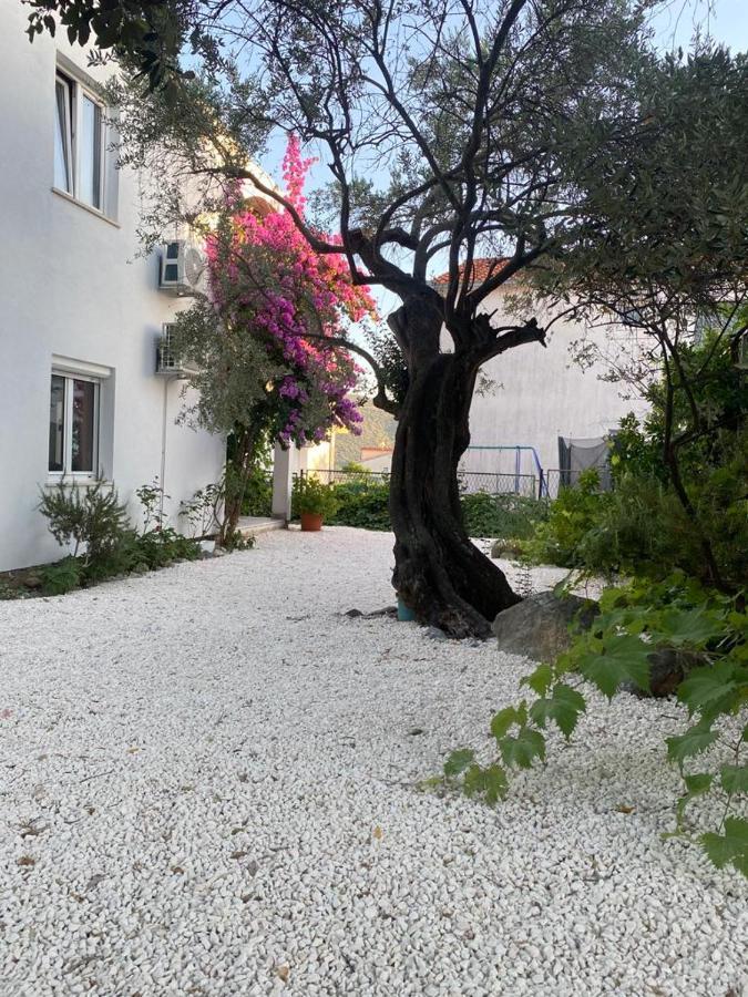 Olive Garden Apartments Poljica  Zewnętrze zdjęcie